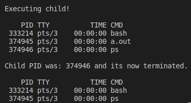 Figure 8: Output of the code snippet 1.